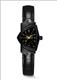 Đồng hồ Nữ Hamilton H24201730